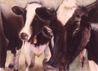 fine art watercolor by wendy martin for sale